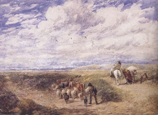 David Cox Keep the Left Road (mk47) Germany oil painting art